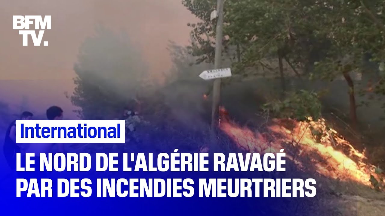 image 0 Le Nord De L'algérie Fait Face à Des Incendies Meurtriers
