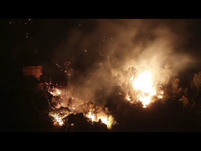 image 0 Les Incendies Toujours Dans Les Pays Méditerranéens Et De Nombreuses Victimes En Algérie